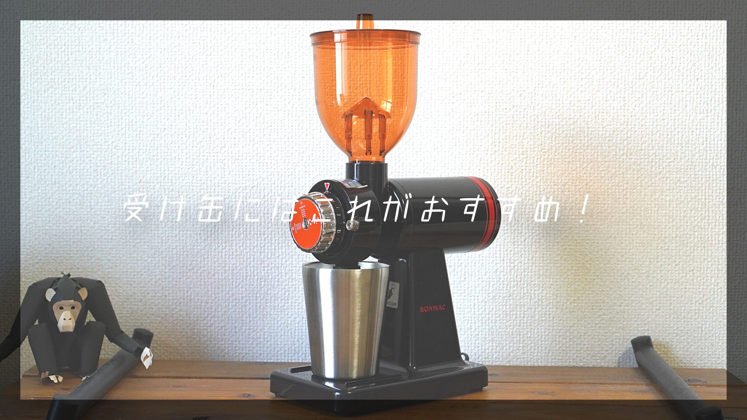 GINGER掲載商品】 bonmac コーヒーサーバー 5杯用 CS-5
